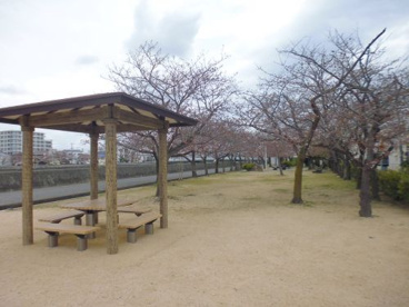 明石川左岸線緑地の画像1