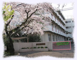 小学校 岸町小学校