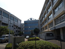 柏木学園高等学校