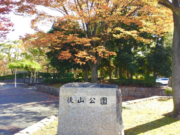 後山公園の画像1