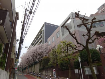 立正大学の画像2