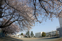 大和市立渋谷小学校