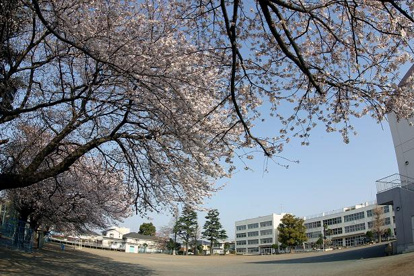 大和市立渋谷小学校の画像1