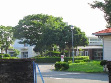神奈川県立瀬谷養護学校の画像1