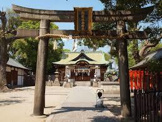 阿遅速雄神社