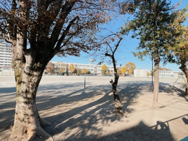 ふじみ野市立駒西小学校の画像2