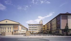 渋川小学校の画像1