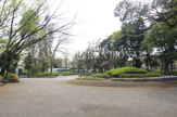 松戸中央公園