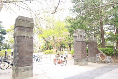 松戸中央公園の画像2