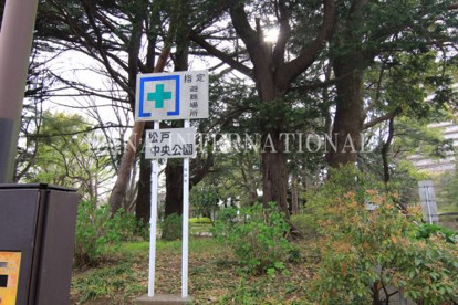 松戸中央公園の画像3