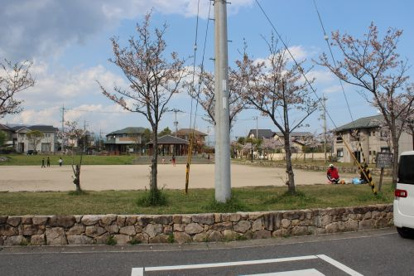 出口公園の画像2