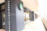 スターバックス