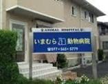 いまむら動物病院