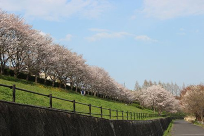御呂戸川緑地の画像3