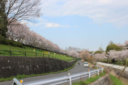 御呂戸川緑地の画像4