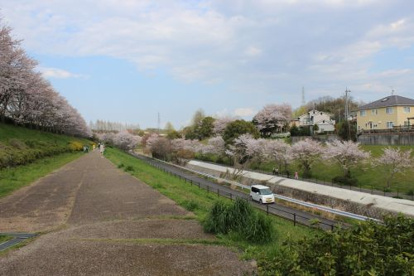 御呂戸川緑地の画像5