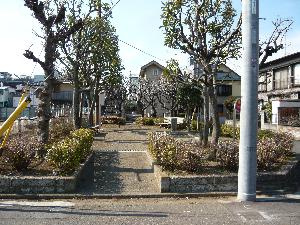 えのき公園の画像1