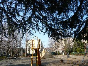 こうちゃん公園の画像1