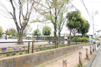 公園の画像1