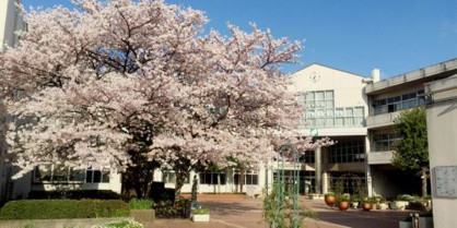 第２東中学校の画像1