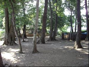 くぬぎ公園 の画像1