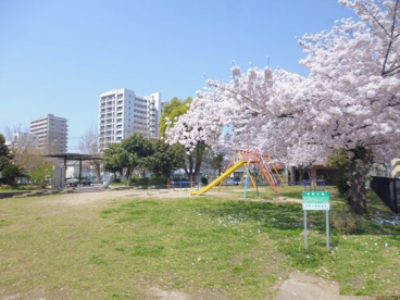 宮西公園の画像1