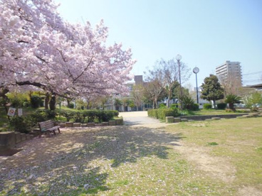 宮西公園の画像2