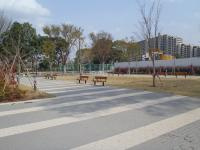 ひばりが丘三丁目けやき公園の画像1