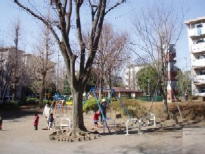 谷戸イチョウ公園の画像1