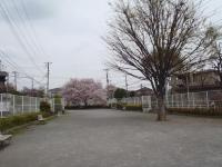 東伏見緑道公園の画像1