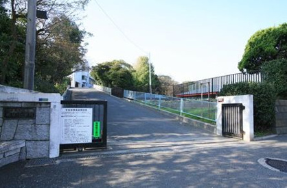 根岸小学校の画像1