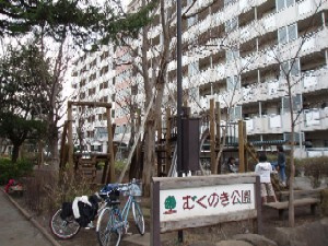 むくのき公園の画像1