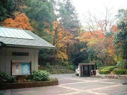 三橋節子美術館の画像1