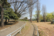 白山公園