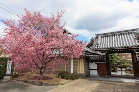 長徳寺の画像1