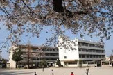 柏崎小学校