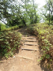 土橋1丁目公園の画像3