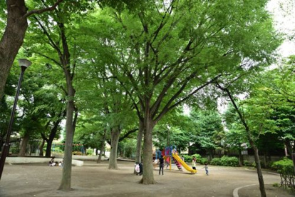 田柄中央児童公園の画像2
