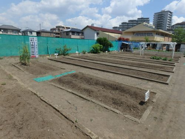 川崎市立下布田小学校の画像5