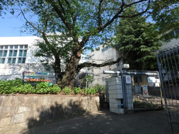 川崎市立生田中学校の画像5