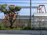 津田沼小学校