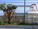 津田沼小学校の画像