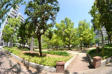 北大江公園