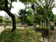 大原第二公園の画像
