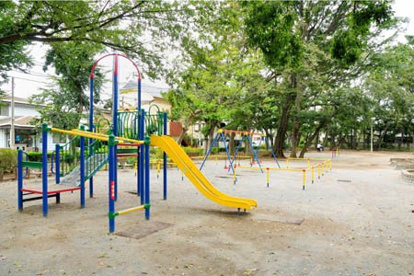 大泉公園の画像3