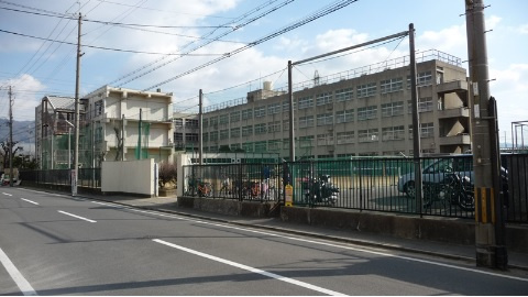 の画像