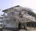 小学校 枚岡東小学校