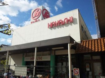 ジョイフルプラザはやし山本店