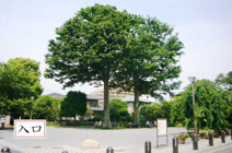 けやきの公園