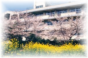 中尾小学校の画像1